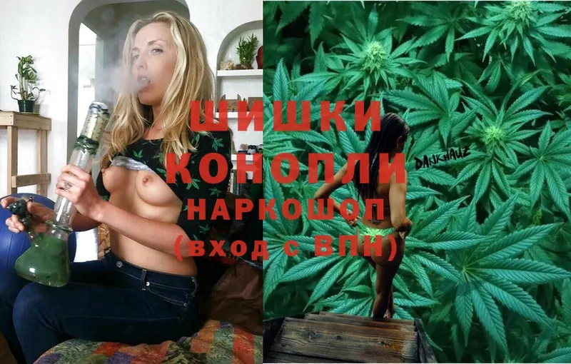 Каннабис OG Kush  Белогорск 